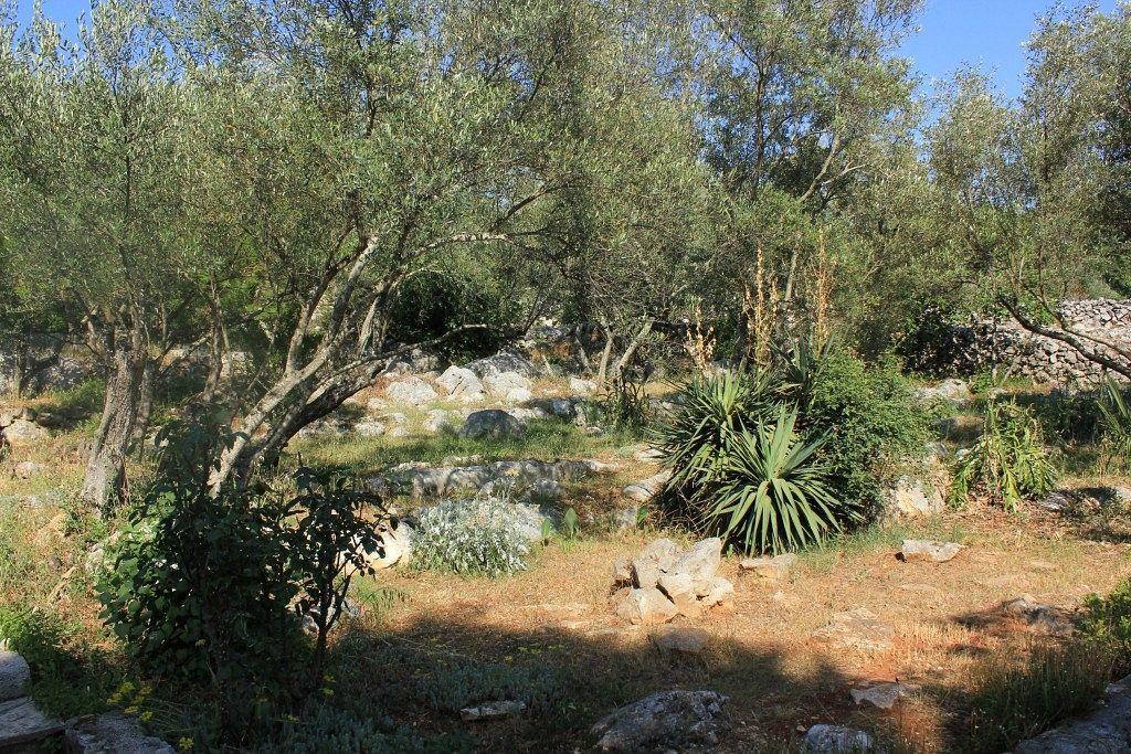סאלי Secluded Fisherman'S Cottage Cove Magrovica - Telascica, Dugi Otok - 8142 מראה חיצוני תמונה